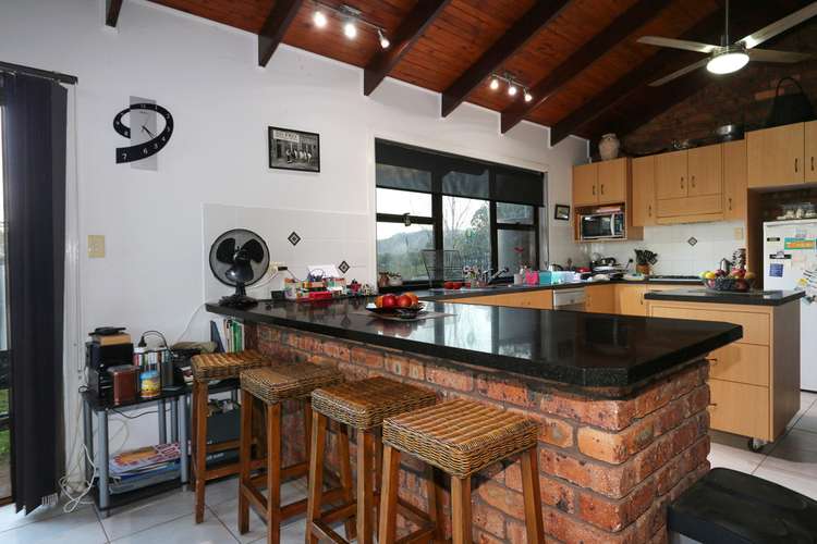 Third view of Homely acreageSemiRural listing, 5005 Kyogle Road, Nimbin NSW 2480