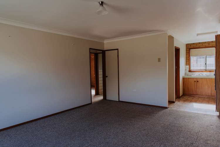 Third view of Homely unit listing, 2/18 Bulolo Street, Ashmont NSW 2650