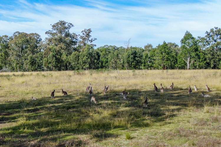 Fifth view of Homely ruralOther listing, LOT 170 Kangaroo Creek Road, Coutts Crossing NSW 2460