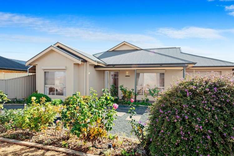 Second view of Homely house listing, 33 Brooke Street, Barmera SA 5345