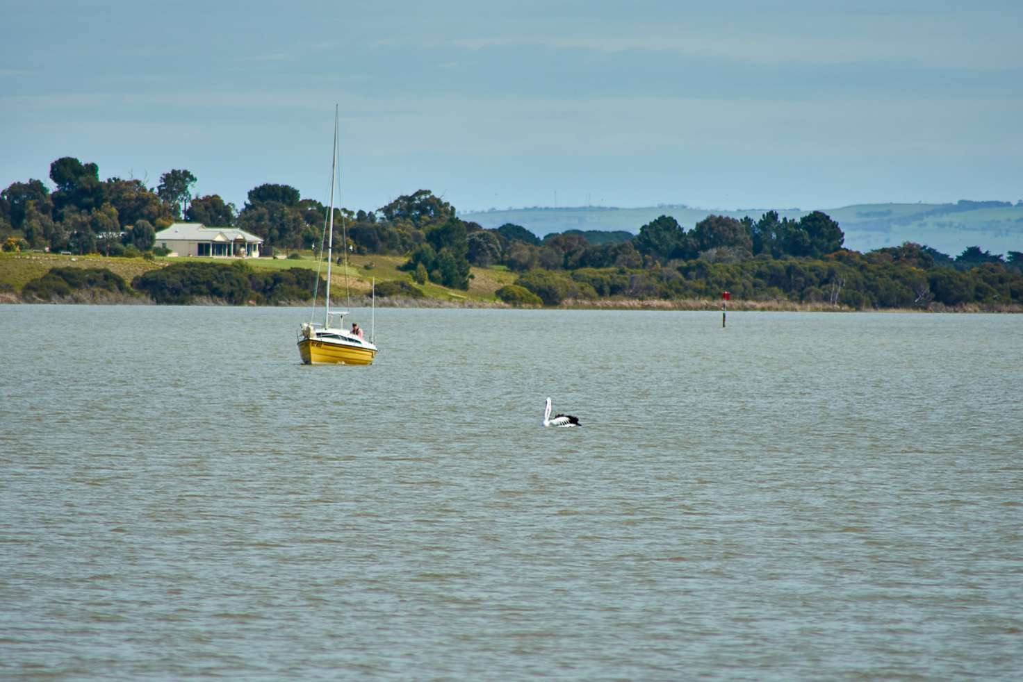 Main view of Homely residentialLand listing, 93 Alexandrina Drive, Clayton Bay SA 5256