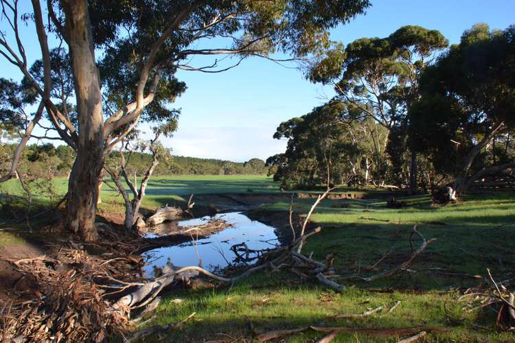 Main view of Homely lifestyle listing, LOT 501 BARK HUT ROAD, Cassini SA 5223