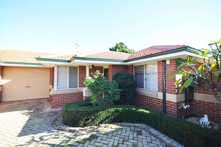 Main view of Homely villa listing, 3/59 Spencer Avenue, Yokine WA 6060