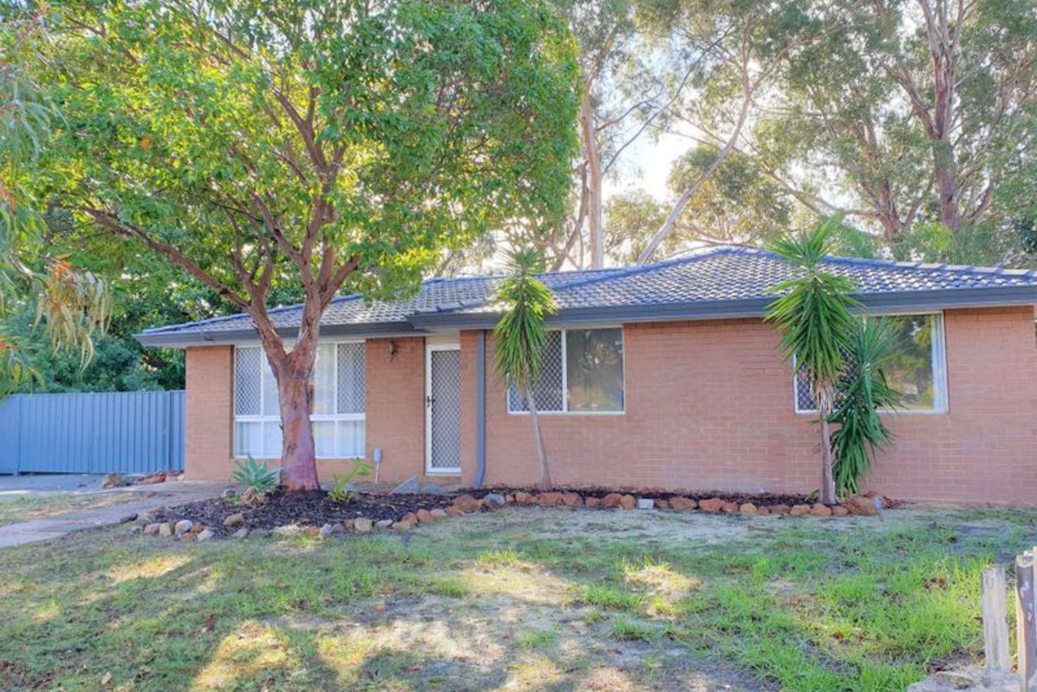 Main view of Homely house listing, 29 Burrowa Street, Armadale WA 6112