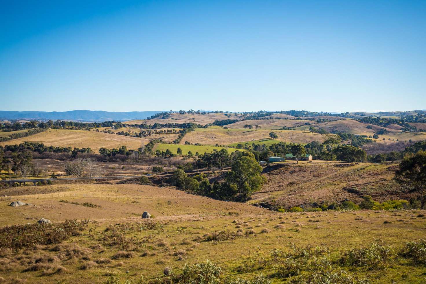 Main view of Homely acreageSemiRural listing, 681 Princes Hwy, Black Range NSW 2550