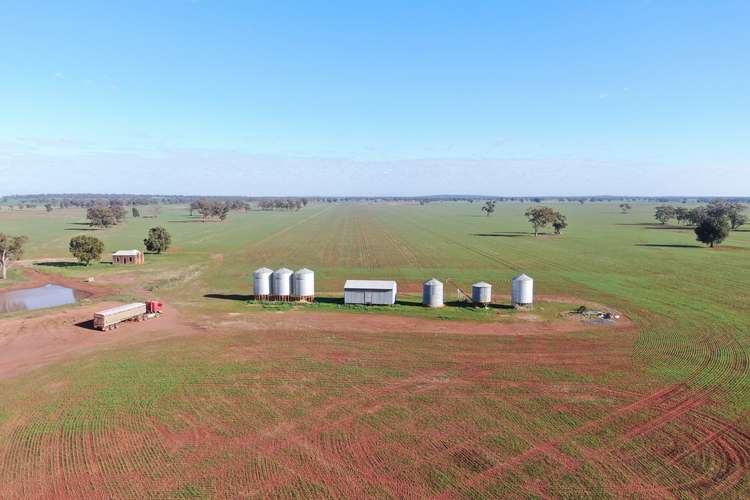 4603 ''Glengariff'' Condo/ Wyalong Road, West Wyalong NSW 2671