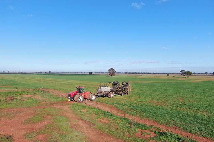 Second view of Homely mixedFarming listing, 664 Fosters Lane, West Wyalong NSW 2671