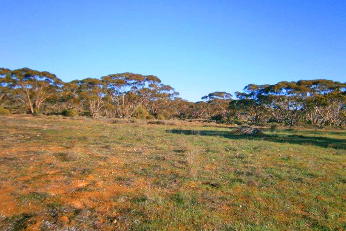 Main view of Homely ruralOther listing, Section 113 Sturt Highway, Blanchetown SA 5357