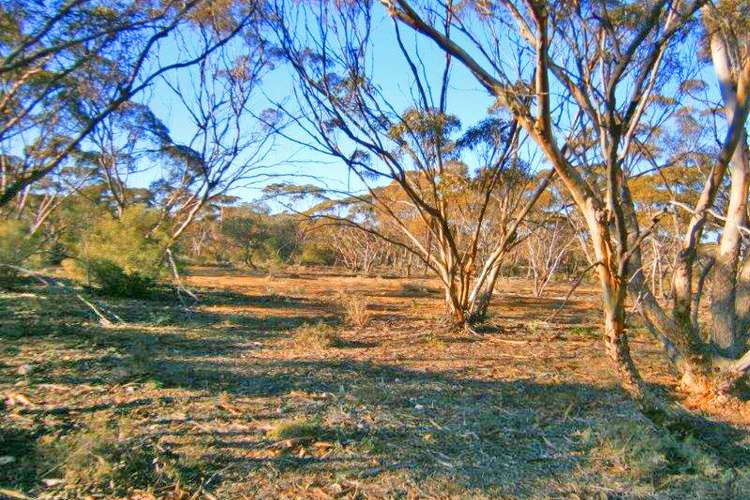 Fifth view of Homely ruralOther listing, Section 113 Sturt Highway, Blanchetown SA 5357