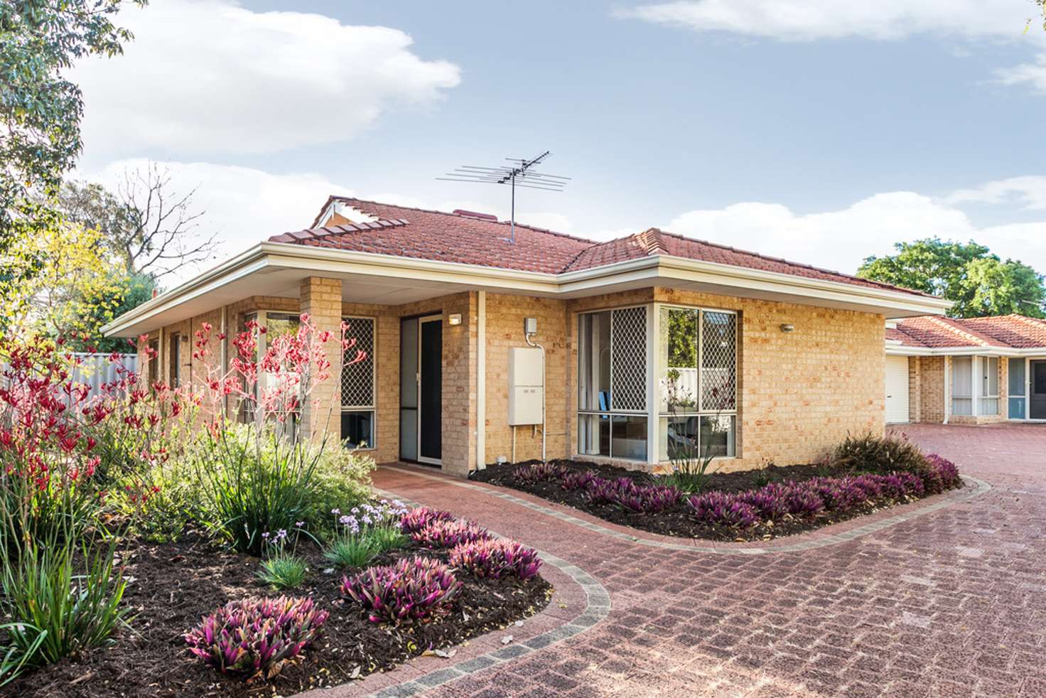 Main view of Homely house listing, 38 Coomoora Rd, Ardross WA 6153