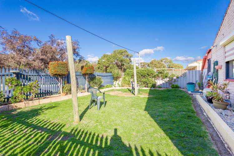 Main view of Homely house listing, 14A Clyde Street, Carey Park WA 6230