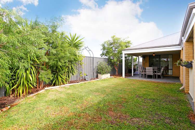 Fifth view of Homely house listing, 47 Willard Circuit, Banksia Grove WA 6031