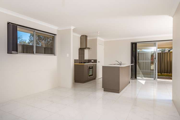 Fourth view of Homely house listing, 36 Cuddlepie Turn, Banksia Grove WA 6031