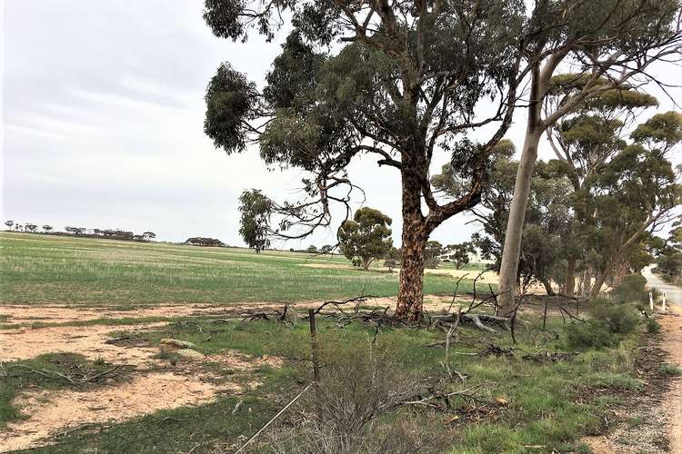 Fourth view of Homely mixedFarming listing, Lot 100 Chandler-Merredin Road, Merredin WA 6415