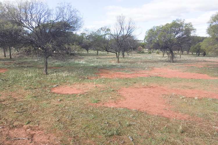 Sixth view of Homely mixedFarming listing, Lot 100 Chandler-Merredin Road, Merredin WA 6415