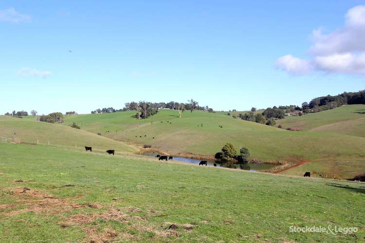 Sixth view of Homely lifestyle listing, 38 Atkins Lane, Mirboo North VIC 3871