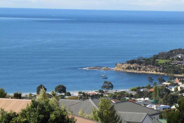 Fifth view of Homely house listing, 4 Timbertop Drive, Blackmans Bay TAS 7052
