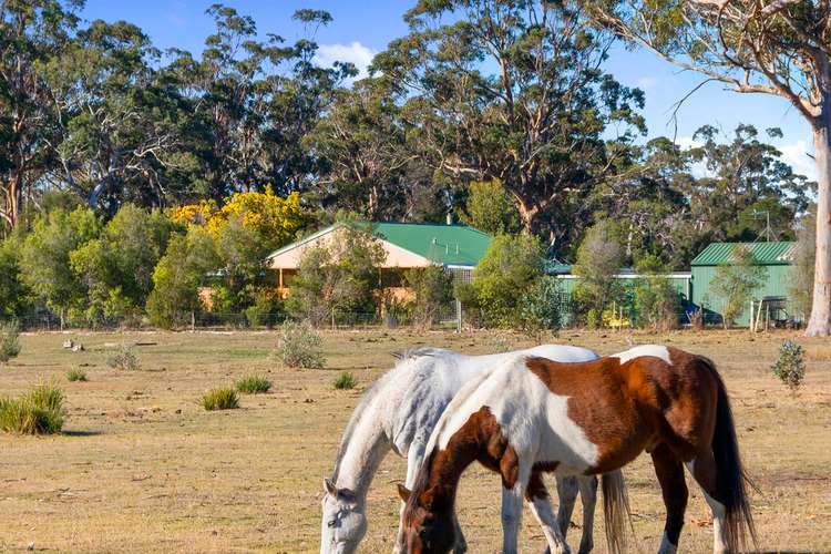 10746 Tasman Highway, Little Swanport TAS 7190