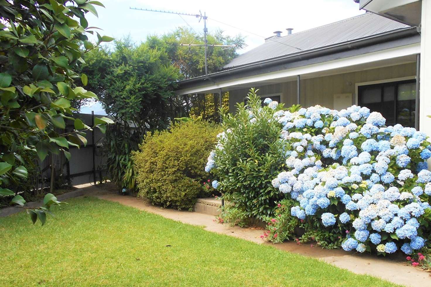 Main view of Homely house listing, 131 Merriang Road, Myrtleford VIC 3737
