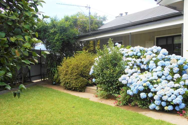 Main view of Homely house listing, 131 Merriang Road, Myrtleford VIC 3737