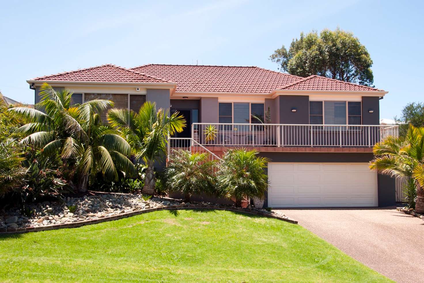 Main view of Homely house listing, 8 Niblick Avenue, Mollymook NSW 2539
