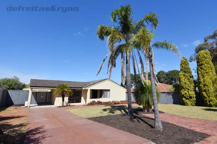 49 Petterson Avenue, Kardinya WA 6163