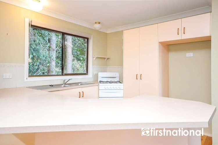 Fifth view of Homely house listing, 4 Kinabalu Drive, Tamborine Mountain QLD 4272