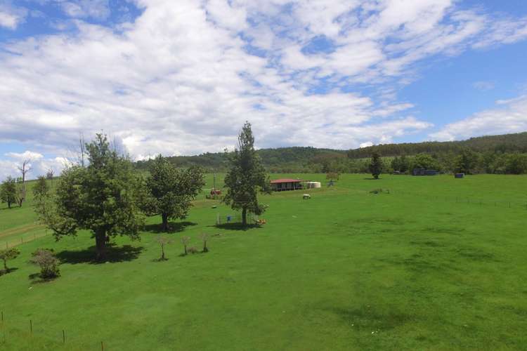 Third view of Homely cropping listing, 405 Farm Road, Bonalbo NSW 2469