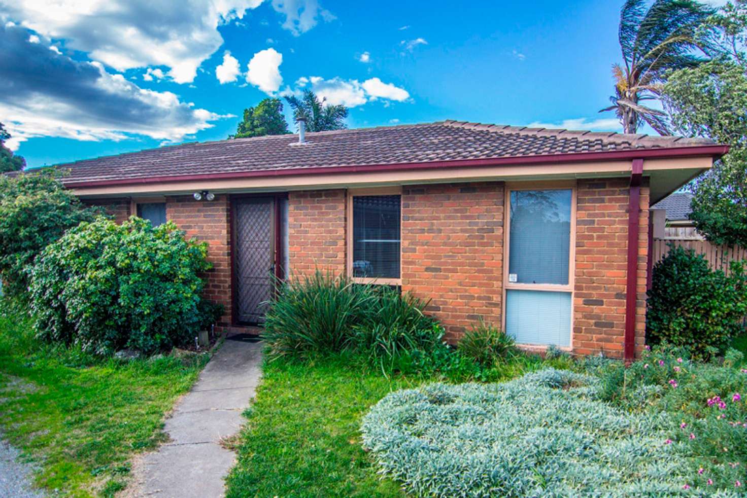 Main view of Homely house listing, 223 Dandelion Drive, Rowville VIC 3178