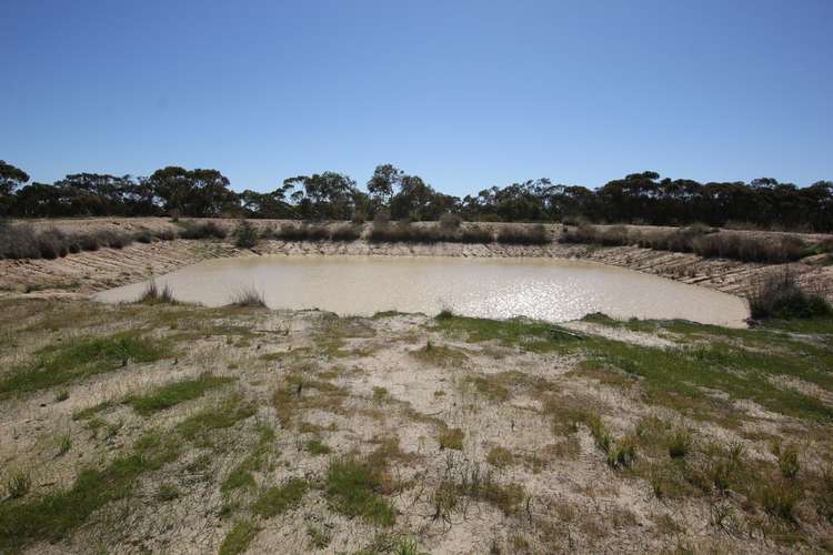 Third view of Homely mixedFarming listing, 24346 Great Eastern Highway, Merredin WA 6415