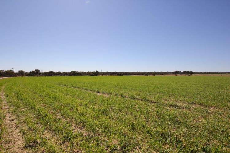 Fourth view of Homely mixedFarming listing, 24346 Great Eastern Highway, Merredin WA 6415