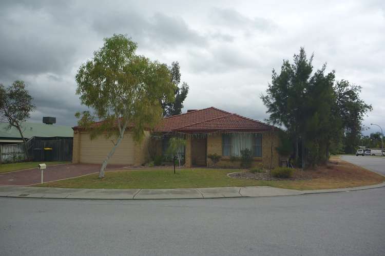 Main view of Homely house listing, 17 Trigger Plant Avenue, Ellenbrook WA 6069