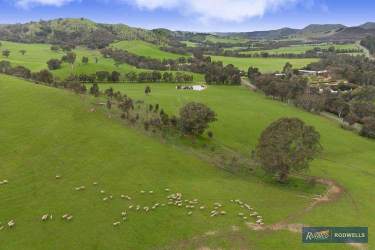 Fifth view of Homely mixedFarming listing, 55 Upper King Parrot Creek Road, Strath Creek VIC 3658