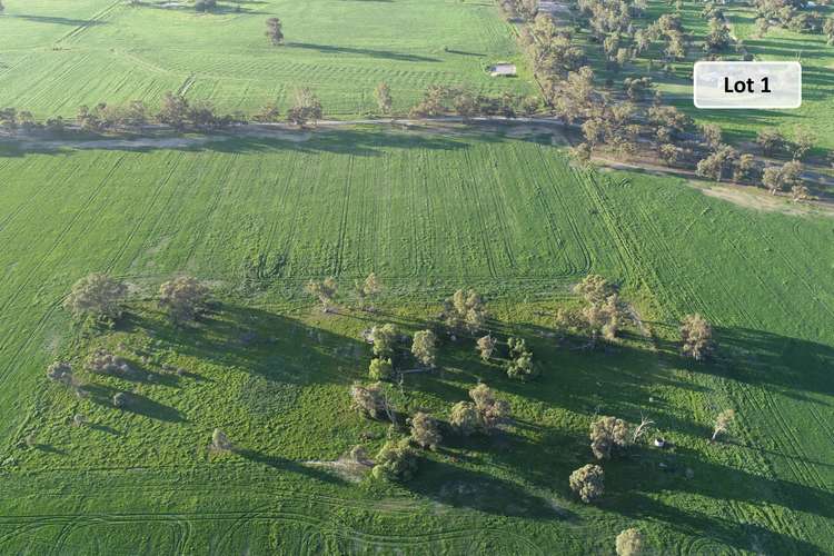 Main view of Homely cropping listing, 308 Barmah-Shepparton Road, Barmah VIC 3639