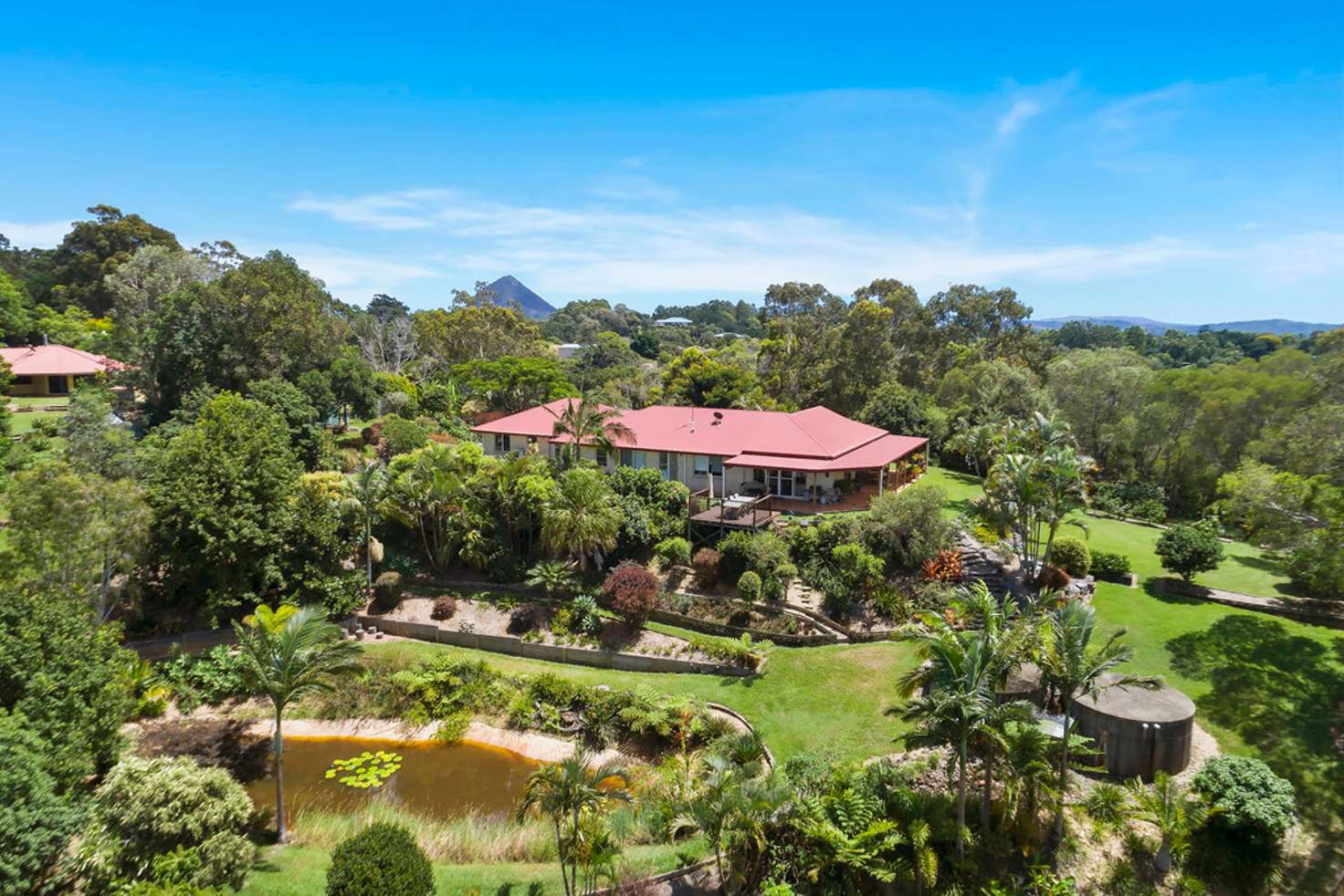 Main view of Homely house listing, 36 Tallowwood Place, Black Mountain QLD 4563