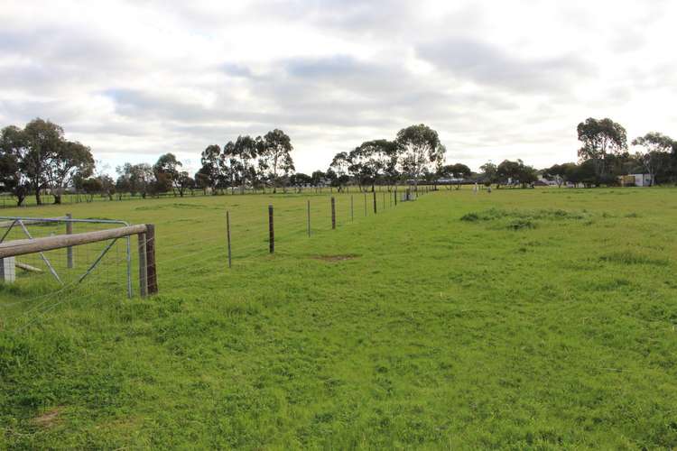 Third view of Homely acreageSemiRural listing, 21 Wynarling Road, Keith SA 5267