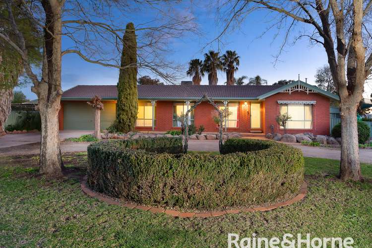 19 Horseshoe Road, Cartwrights Hill NSW 2650