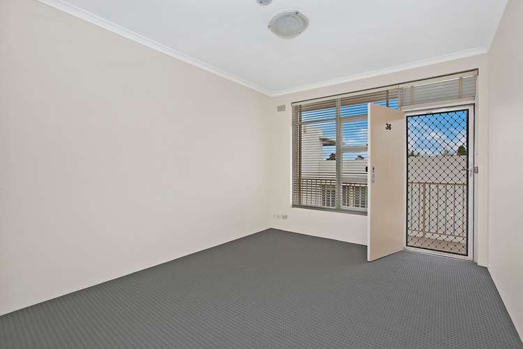 Main view of Homely apartment listing, 36/417 Liverpool Road, Ashfield NSW 2131