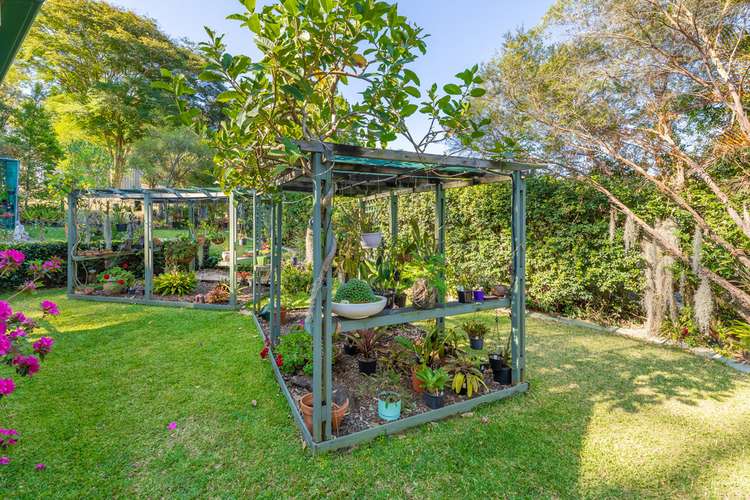 Third view of Homely house listing, 6 Persea Place, Glass House Mountains QLD 4518