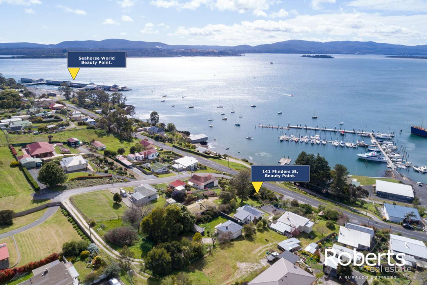 Main view of Homely house listing, 141 Flinders Street, Beauty Point TAS 7270