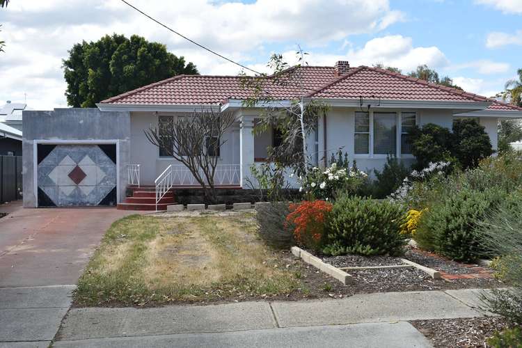 Main view of Homely house listing, 36 Auborough Street, Doubleview WA 6018