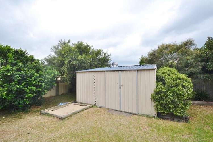 Fifth view of Homely house listing, 17 Guinea Flower, Worrigee NSW 2540