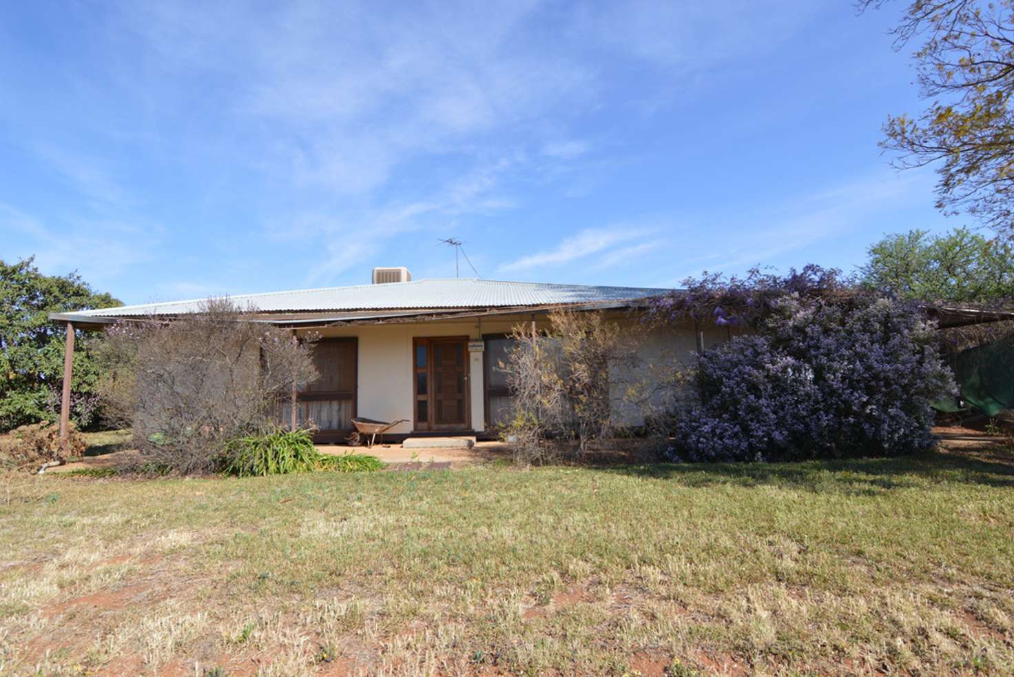 Main view of Homely house listing, 59 Jacaranda Road, Coomealla NSW 2717