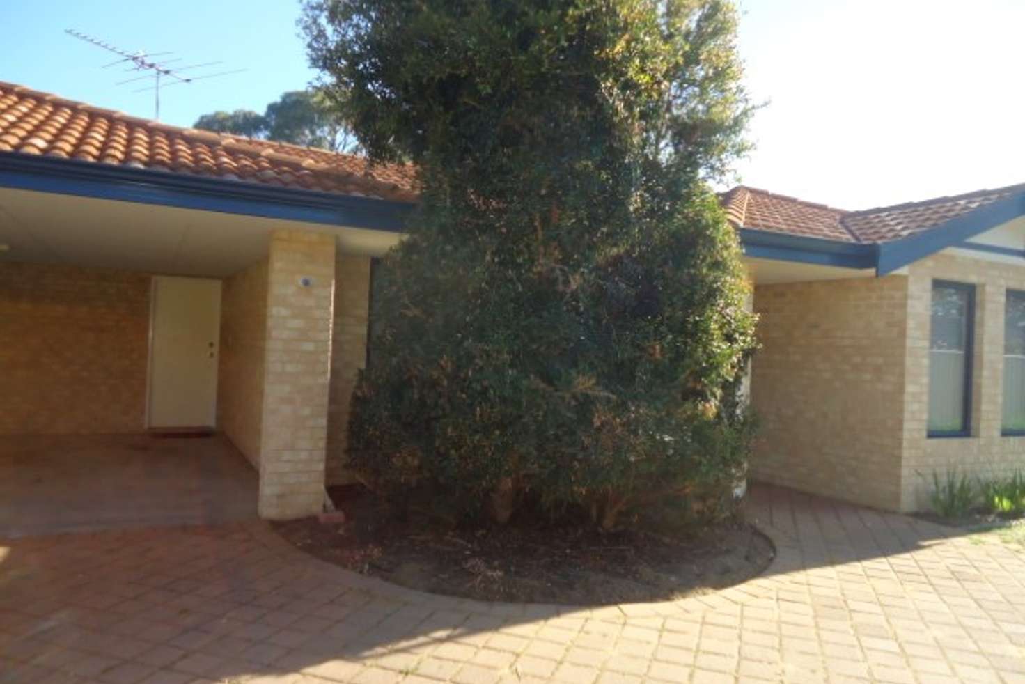 Main view of Homely house listing, 5C Arthur Road, Hamilton Hill WA 6163