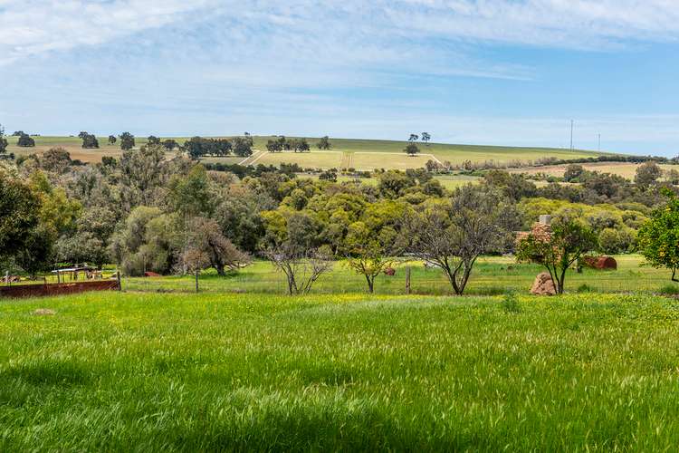 Third view of Homely lifestyle listing, 106 Robinson Street, Gingin WA 6503