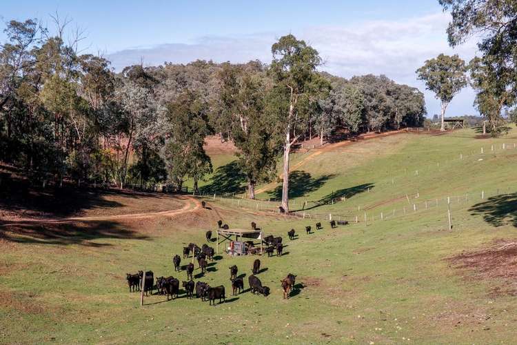 Fifth view of Homely farmlet listing, 282 Quarry Road, Briagolong VIC 3860