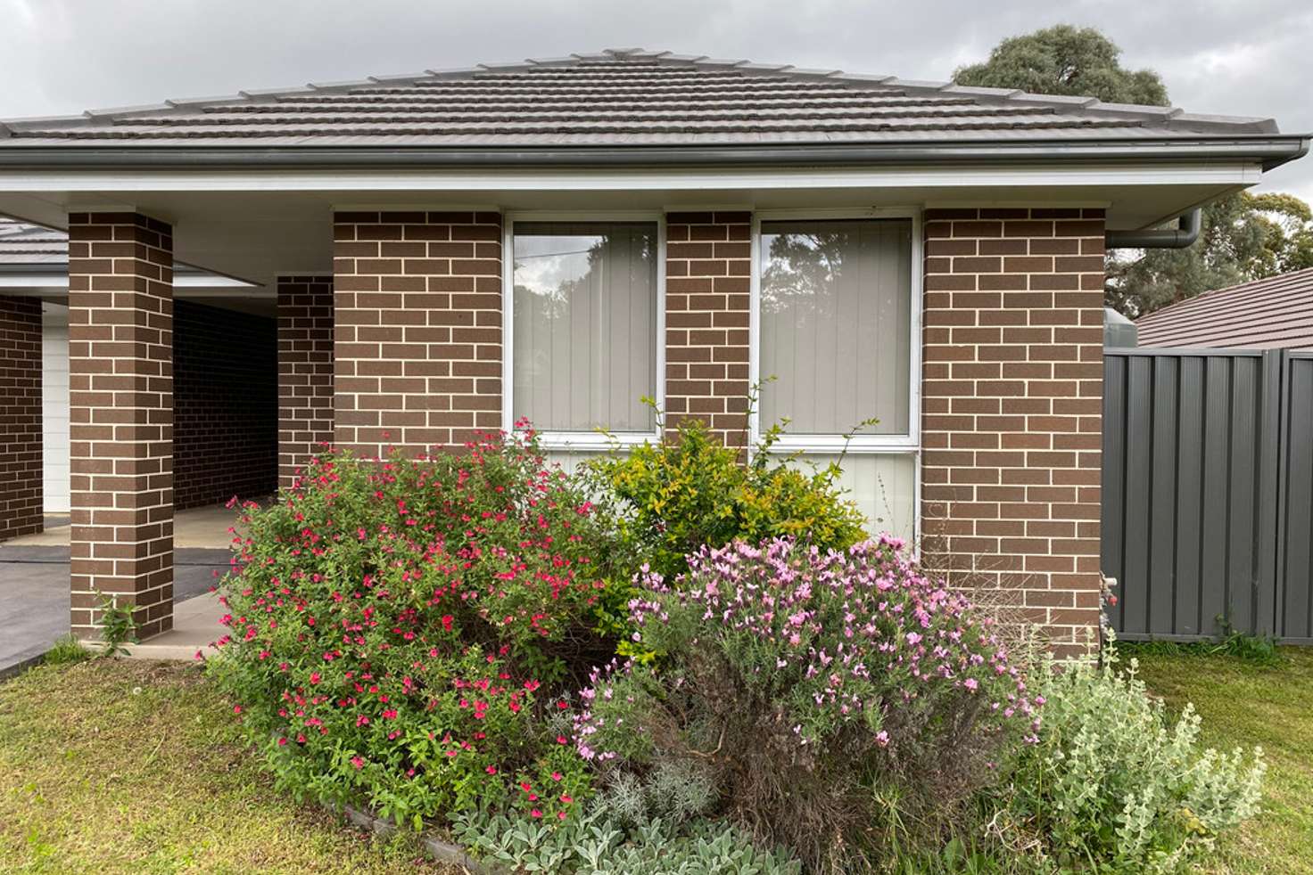 Main view of Homely house listing, 1B Bluegum Place, Tahmoor NSW 2573