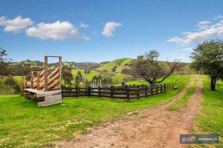 Fifth view of Homely farmlet listing, 210 Horans Track, Strath Creek VIC 3658