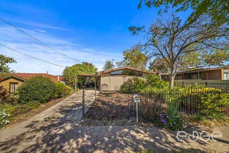 Main view of Homely house listing, 29 Tania Avenue, Windsor Gardens SA 5087