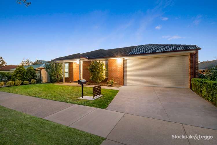 Main view of Homely house listing, 17 Arlene Drive, Skye VIC 3977